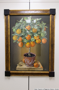["A painting of an orange tree hangs in Senator John D. (Jay) Rockefeller's office."]%