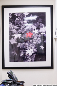 ["A photograph of a red leaf hangs in Senator Rockefeller's office."]%